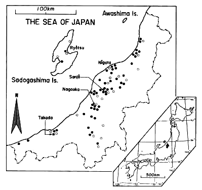 distribution of B. nobile in Niigata Pref.